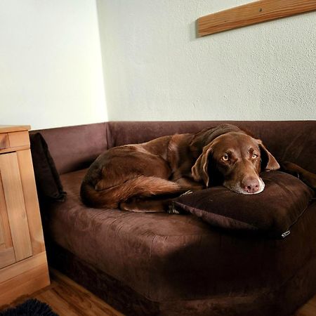 Ferienwohnung Baer Vohenstrauss Esterno foto