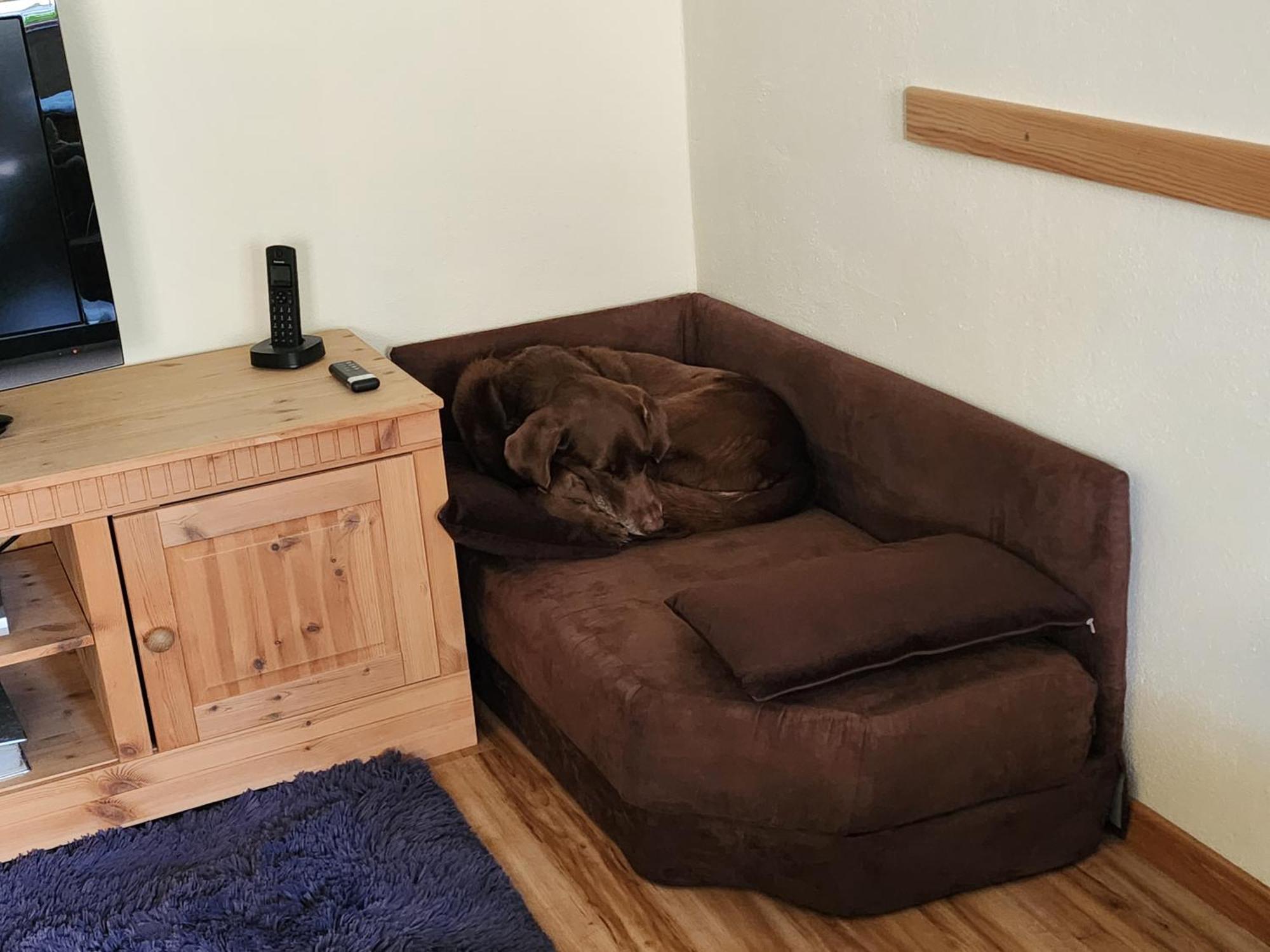 Ferienwohnung Baer Vohenstrauss Esterno foto